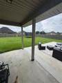 42159 Bald Eagle Avenue - Photo 9