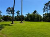 50257 Spirit Of The Forest Lane - Photo 4