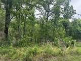 12558 Central Avenue - Photo 1