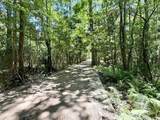 TBD Holly Lane - Photo 5