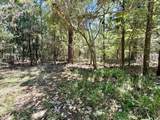 TBD Holly Lane - Photo 6