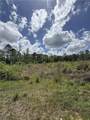 Tbd Newsome Road - Photo 2