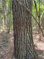  Reames Rd Road - Photo 14