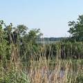  Chenier Drive - Photo 14