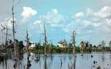  Chenier Drive - Photo 9
