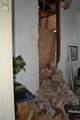 2115 Urquhart Street - Photo 6