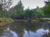 435 Bedico Parkway - Photo 51