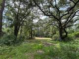 60017 Tranquility Road - Photo 4