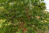 281 Oak Road - Photo 48