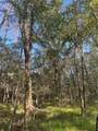 1163 Hwy 115 Highway - Photo 4