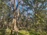1163 Hwy 115 Highway - Photo 8