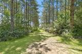 95 Silver Dollar Lane - Photo 21
