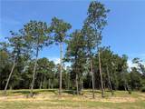 2748 Shade Tree Court - Photo 1