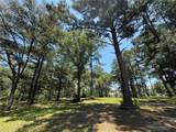 7238 The Woods Avenue - Photo 2