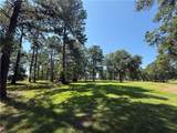7237 The Woods Avenue - Photo 3