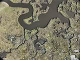0 Bayou La Loutre - Photo 6