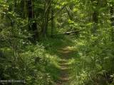  Belle Gardner Road - Photo 2