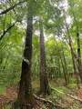  Lowencamp Lane - Photo 10