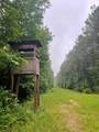  Lowencamp Lane - Photo 11