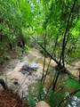  Lowencamp Lane - Photo 13