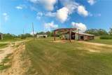 56034 Virgil White Lane - Photo 31