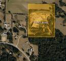  Virgil White 20Acre Lane - Photo 1