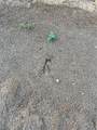  Hwy 1058 Highway - Photo 22