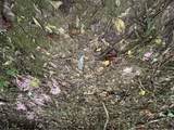 32 Sauls Road - Photo 20