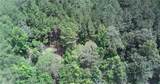 50417 Tiny Pines Road - Photo 3