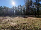 TBD 3.32 acres Tatoo Road - Photo 2