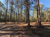 TBD 3.32 acres Tatoo Road - Photo 4