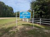  Providence Estates Road - Photo 1