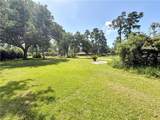 113 Walnut Street - Photo 5
