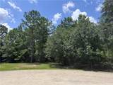 Lot 13 Windermere Oaks West - Photo 3