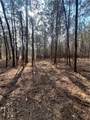 0 Chadwick Loop - Photo 1