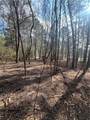 0 Chadwick Loop - Photo 2