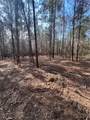 0 Chadwick Loop - Photo 3
