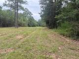 12293 Highway 40 Highway - Photo 4