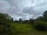 589 Tyler Cemetery Road - Photo 5