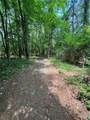  Tom Meyers Road - Photo 3