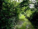 115 Pintail Point - Photo 10