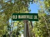 Lot 2 Old Mandeville Lane - Photo 1