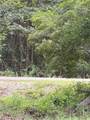 71024 Golden Street - Photo 3