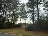 TBD Hwy 1241 Highway - Photo 10
