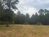 TBD Hwy 1241 Highway - Photo 12