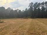 TBD Hwy 1241 Highway - Photo 13
