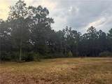 TBD Hwy 1241 Highway - Photo 2