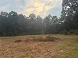 TBD Hwy 1241 Highway - Photo 5