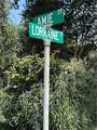 119 Lorraine Street - Photo 17