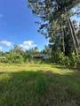 27186 La-42 Hwy Highway - Photo 4